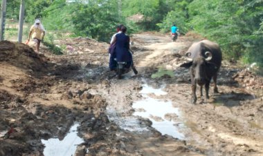 पाइपलाइन डालने के लिए खोदे गड्डे, उबड़ खाबड़ रास्तों में तब्दील हुई सड़क, फस कर वाहन हो रहे दुर्घटनाग्रस्त