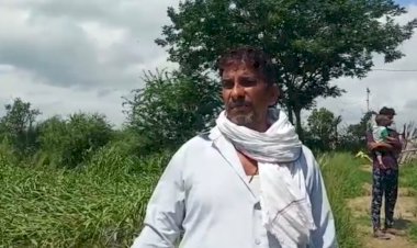 कामां नगर पालिका की लापरवाही से 12 बीघा फसल हुई पूरी तरह से , खेत मालिक रो रहा है खून के आंसू