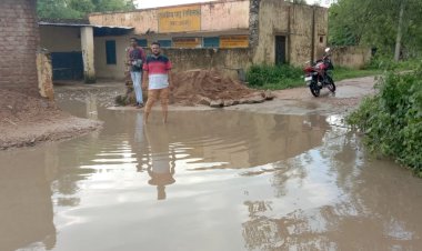पशु चिकित्सालय के मार्ग में जलभराव होने से पशुपालक परेशान