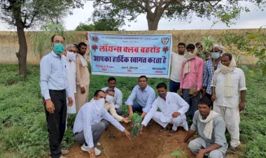 राष्ट्रीय स्वतंत्रता आंदोलन के  प्रतीक अगस्त क्रांति दिवस पर लायंस क्लब बहरोड तत्वावधान में वृक्षारोपण