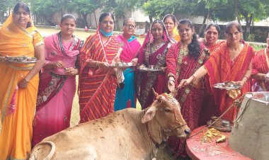 परिवार की खुशहाली एवं दीर्घायु होने की कामना के साथ बछ बारस पर महिलाओं ने की बछड़े व गाय की पूजा