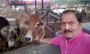 सरकार गौ सेवा कर को गौ सेवा में ही काम ले :  गौपुत्र अवधेश अवस्थी