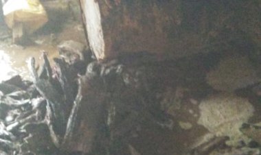 800 लीटर वास नष्ट कर, तीस लीटर अवैध शराब के साथ दो मुल्जिम गिरफ्तार