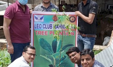 जलझूलनी एकादशी पर लियो क्लब महुआ ने वृक्षारोपण कर गायों को खिलाया हरा चारा