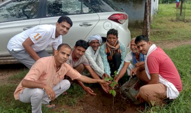 पर्यावरण संरक्षण को लेकर मंदिर परिसर में लगाए पौधे