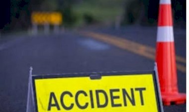 पशुधन को बचाने के प्रयास में बाइक सवार दुर्घटनाग्रस्त