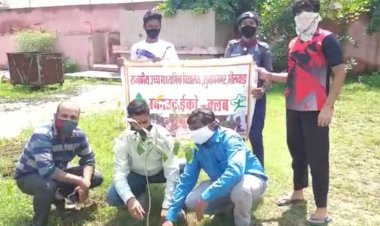 भीलवाड़ा के सुभाष नगर विद्यालय में वृक्षारोपण कर मनाया शिक्षक दिवस