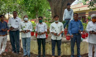 पर्यावरण संरक्षण को लेकर विद्यालय प्रांगण में अध्यापकों ने लगाए पौधे