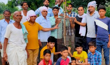 मुक्तिधाम में पौधारोपण कर  सुरक्षा के लिए लगाए ट्री गार्ड