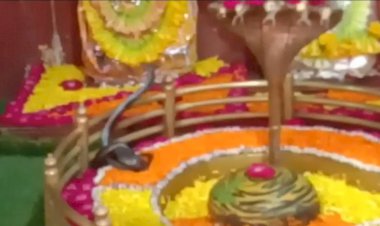 भीलवाड़ा के हरनी महादेव मंदिर मे शिवलिंग के पास से कोबरा सांप को रेस्क्यू कर पकड़ा और जंगल में छोड़ा