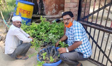 उन्नत किस्म के बेर के पौधों का कराया रोपण, किसानों को मिलेगा लाभ