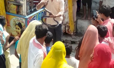 मकान में 8 फिट के काले जहरीले  सांप को ननिहाल आए युवक ने रेस्क्यू कर जंगल में छोड़ा