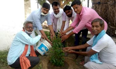 पूर्व प्रधान राजेंद्र मीण  के जन्मदिन पर वृक्षारोपण कर गौ माताओं को हरा चारा गुड़  खिलाकर गरीबों को बांटे फल