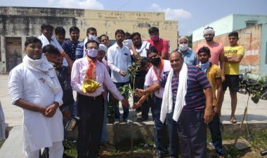 प्रधानमंत्री नरेन्द्र मोदी के जन्मदिन पर पौधरोपण किया