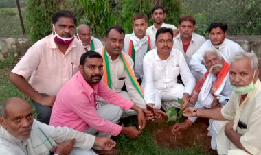 प्रधानमंत्री मोदी के जन्मदिवस पर भाजपा कार्यकर्ताओं ने किया पौधारोपण