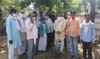 भाजपा कार्यकर्ताओ ने सेवा सप्ताह मे कलाधारी आश्रम मंदिर में किया वृक्षारोपण