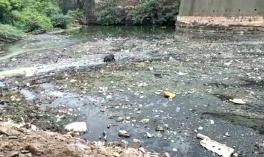 महलों की नगरी डीग के ऐतिहासिक किले की खाई बनकर रह गई है गंदगी का गोदाम