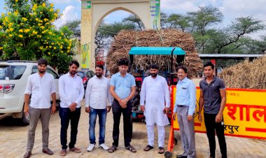 ततारपुर गौशाला में युवाओं ने की गौ सेवा