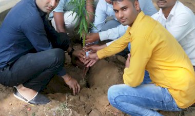 पंडित दीनदयाल उपाध्याय की जयंती पर किया पौधारोपण