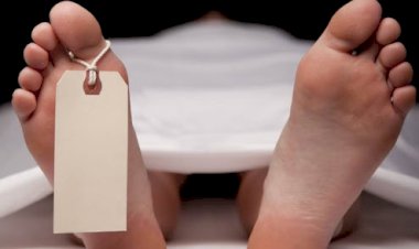 बाजरे की फसल निकालते वक्त कटर की चपेट में आने से महिला की दर्दनाक मौत