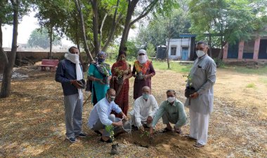 इंदिरा कॉलोनी विद्यालय में पौधारोपण कार्यक्रम आयोजित