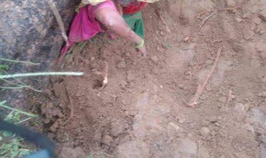 अंधड़ ने क्षेत्र में जमकर बरपाया कहर, एक की मौत 5 घायल