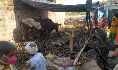 छप्पर पोश में लगी आग, गाय व बछडा झुलसे