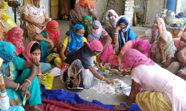 उमंग राजीविका महिला सर्वागीण विकास सहकारी द्वारा दी गई पशुपालन क्षेत्र की नई योजनाओ की जानकारी