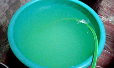 जलदाय विभाग की पेयजल आपूर्ती व्यवस्था लडखडाई, नलों में आ रहा गंदा पानी