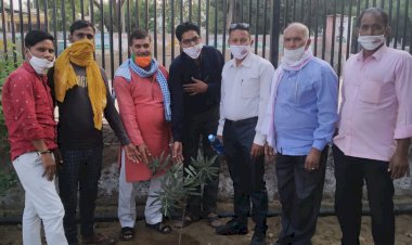 राजस्थान भाजपा प्रदेशाध्यक्ष के जन्मदिन पर कार्यकर्ताओं ने किया वृक्षारोपण