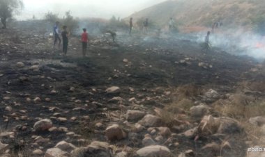 जोनेटा गांव के पहाड़ मे लगी आग,