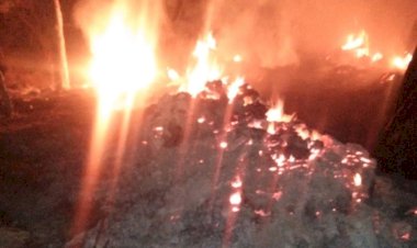 सड़क किनारे रखी तीस बीघा जमीन की कड़बी में लगी आग