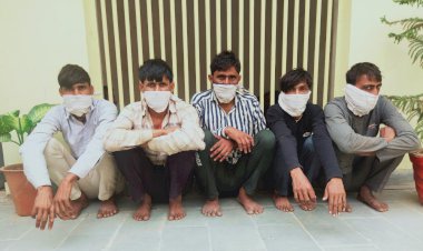 साथियों के साथ कुख्यात गोतस्कर गिरफ्तार, पुलिस ने तीन पिकअप जब्त कर बीस गोवंश कराए मुक्त