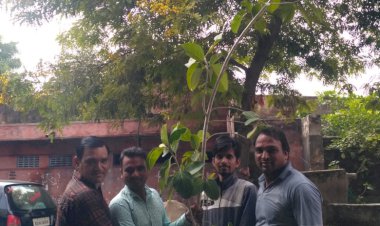 जन्म दिन पर बरगद का पौधारोपण किया व सुरक्षा के लिए ट्रीगार्ड लगाया