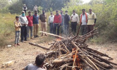 पानी या शिकार की तलाश में भटकते सड़क पार कर रहे पैंथर की अज्ञात वाहन की टक्कर से मौत, नर्सरी में कराया दाह संस्काकर
