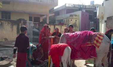 श्रद्धा एवं विश्वास के साथ मनाया गोपाष्टमी पर्व