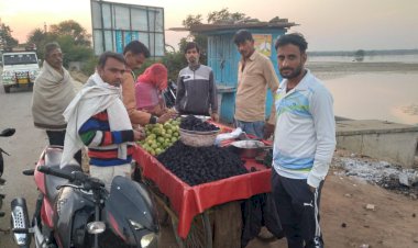 गुरला के सिंघाड़े ने बनाई खास पहचान,गुरलां के सिंघाड़े है जिलेभर में प्रसिद्ध