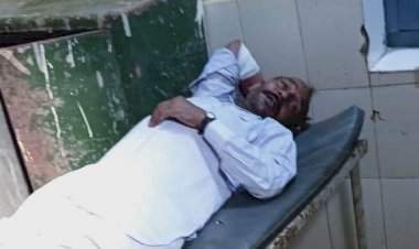 ऊंट गाड़ी- सेंट्रो कार मैं टक्कर,हादसे में दो घायल,एक अलवर रैफर