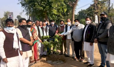 अलवर में श्रम मंत्री के जन्मदिवस पर हुआ पौधारोपण