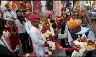 विधि-विधान और परंपरागत तरीके से संपन्न हुआ तुलसी विवाह