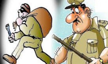 चोरों को  नहीं रहा पुलिस का खौफ, अपराधियों को पकड़ने वाले थानेदार के घर की चोरी