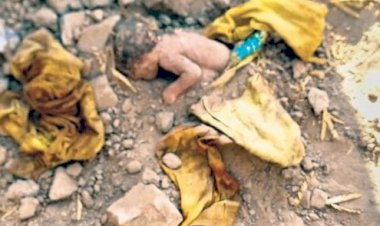 नाल तक नहीं काटी और गड्ढे में दबा दिया नवजात का शव, आसपास मंडरा रहे थे कुत्ते