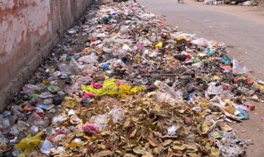 दुकानदारों को रखना होगा डस्टबिन, रोड या गली में कचरा डालने पर लगेगा ₹1000 का जुर्माना प्रतिदिन
