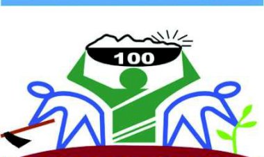 सरकार के लाख प्रयास करने के वावजुद भी नही बदले गांवों के हालत, मनरेगा मे जमकर चल रहा फर्जीवाड़ा