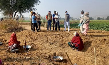 विधायक प्रतिनिधि लोकेश खैरिया ने किया मनरेगा कार्यो का निरीक्षण, ग्राम बाघोर में अनुपस्थित मिली रोजगार सहायक