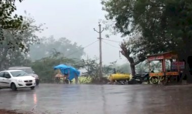 मावठ पड़ने से किसानों के चेहरे खिले, बारिश के साथ पड़े चने के आकार के ओले