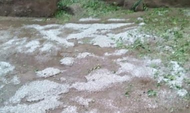 लक्ष्मणगढ़ उपखंड क्षेत्र में अमृत की बारिश, किसानों के चेहरे खिले, आधा दर्जन गांवों में हुई ओलावृष्टि से फसलों में हुआ नुकसान