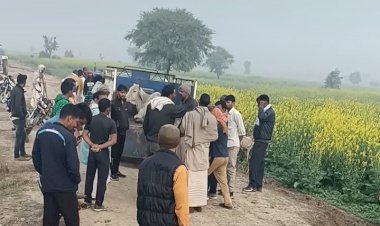 खोह थाना पुलिस ने 8 गौवंश सहित 20 लीटर शराब की जप्त