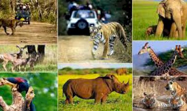 वन्य जीवों के संरक्षण के लिए अनूठी पहल, शिकारियों व तस्करों की सुचना दे इनाम ले