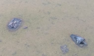 भीलवाड़ा प्रशासन की अनदेखी का खामियाजा कही पूरे शहर को ना उठाना पड जाए